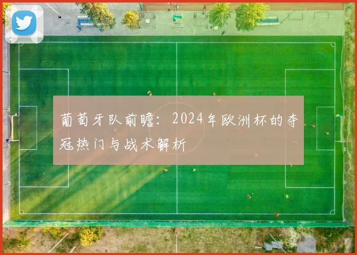 葡萄牙队前瞻：2024年欧洲杯的夺冠热门与战术解析