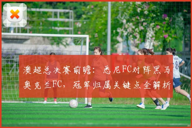 澳超总决赛前瞻：悉尼FC对阵黑马奥克兰FC，冠军归属关键点全解析