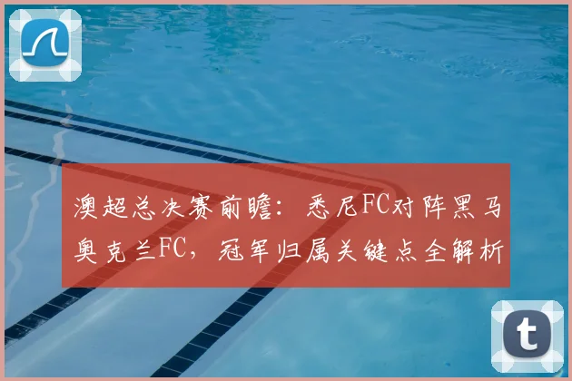 澳超总决赛前瞻：悉尼FC对阵黑马奥克兰FC，冠军归属关键点全解析