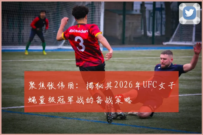 聚焦张伟丽：揭秘其2026年UFC女子蝇量级冠军战的备战策略